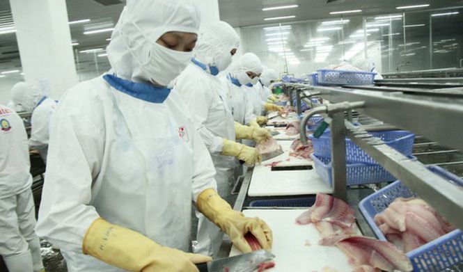 Vietnam’s seafood industry reacts to ‘yellow card’ from EU