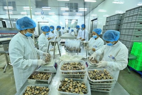 VN exports likely to hit $212 billion this year