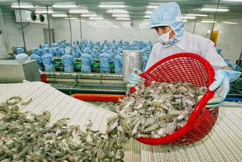 Switzerland imports over 50% shrimp from VN