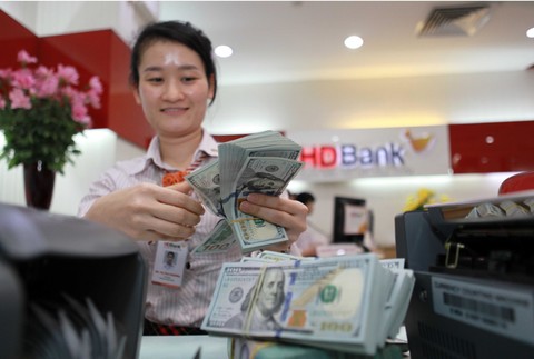 VN’s forex reserves soar to record-setting $48b