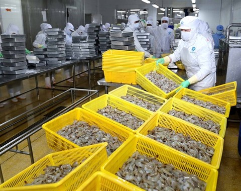 VN’s shrimp industry will become key economic sector