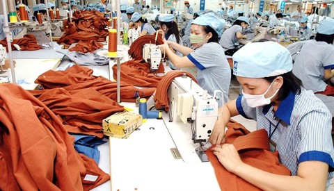 VN Textile Research Institute to launch IPO next month
