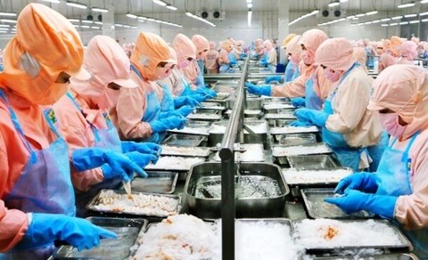 Shrimp exporter plans return to HCM Stock Exchange