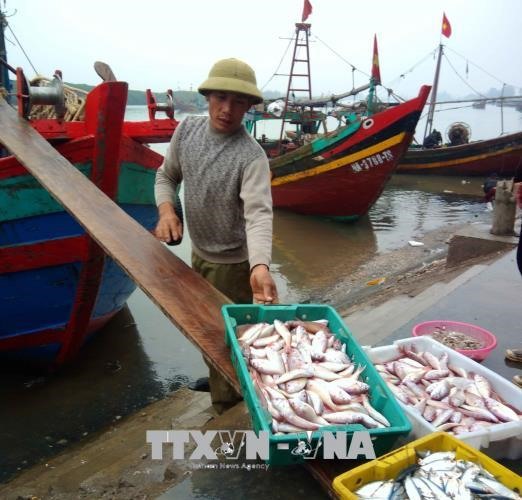 Fish catches, aquaculture harvests rise