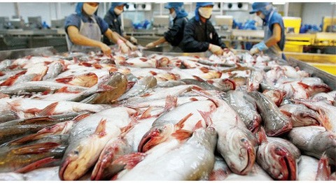 Seafood firm Hung Vuong (HVG) to sell assets to offset losses