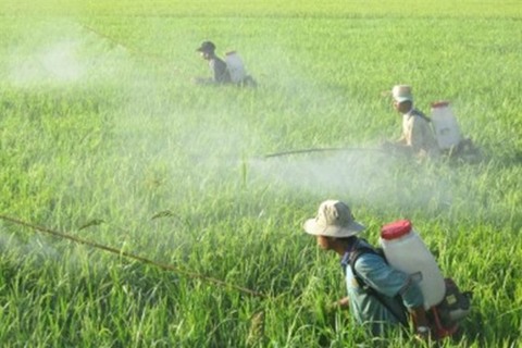 Viet Nam spends $194 million on pesticides