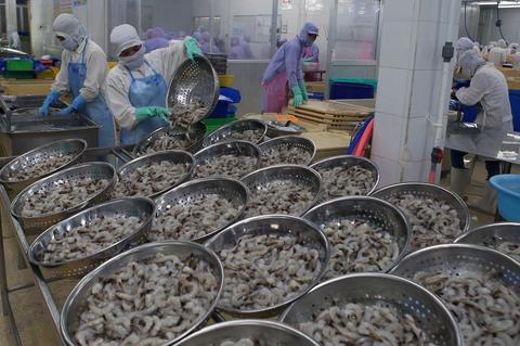 VN to gain $4.8b from shrimp exports