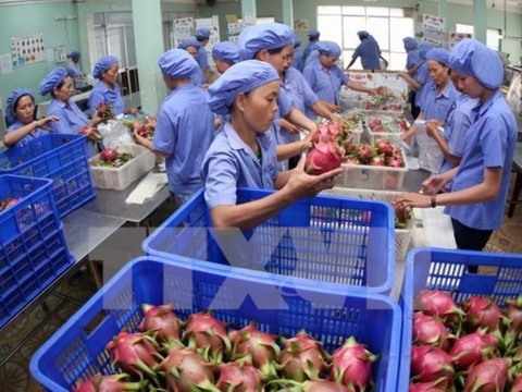 Produce exports to top $4b this year
