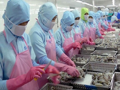 S Korea to inspect VN shrimp firms