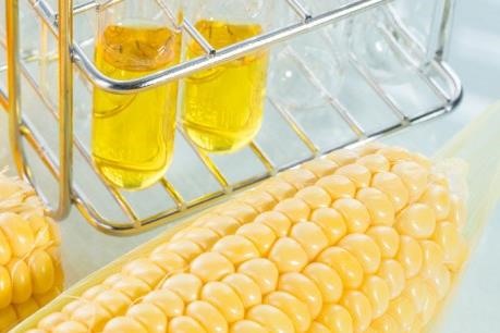 Sugar association seeks help against corn syrup imports