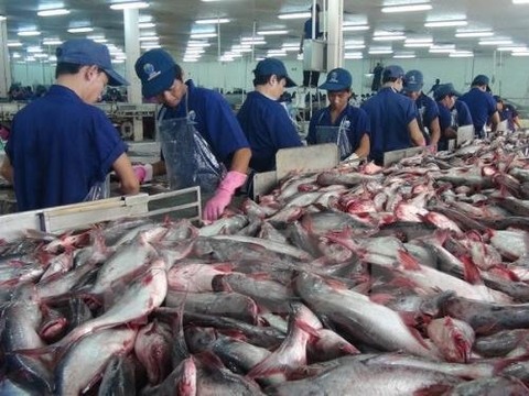 Vietnamese catfish exports dominate US market