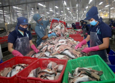 Catfish skin: a promising export