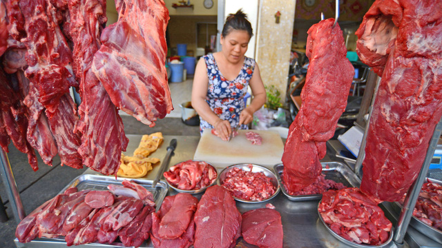 Imported livestock blamed for Vietnamese cattle price slump
