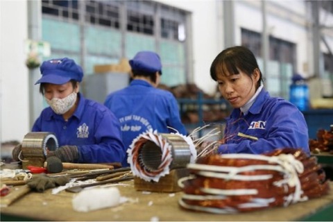 Over 12,000 new firms established in Ha Noi