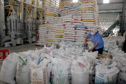 Viet Nam’s rice exports to Malaysia show strong growth
