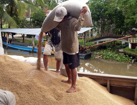 Viet Nam wins contract to export rice to South Korea