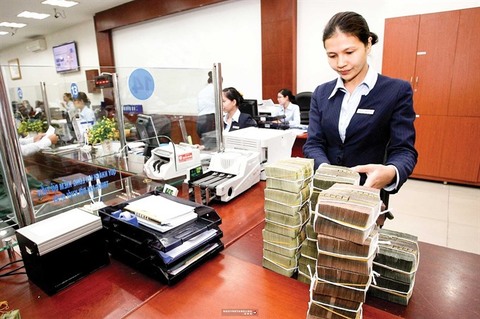 Moody’s: Vietnam’s banks show diverging capital profiles