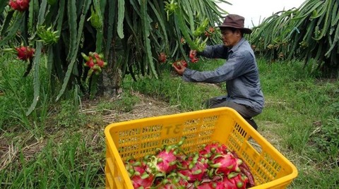US continues to be key export market for Viet Nam