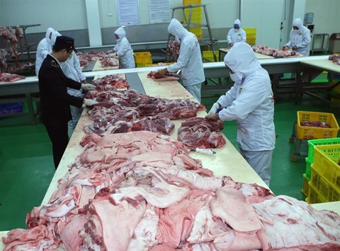Pork price gains record high