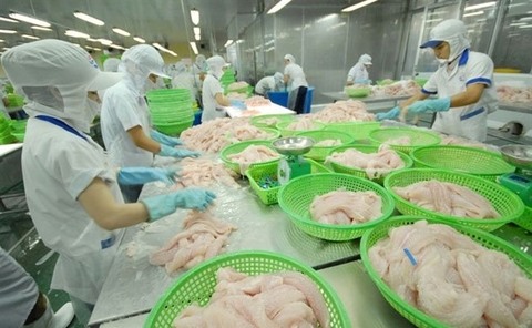 Vinh Hoan (VHC) exports jump in July