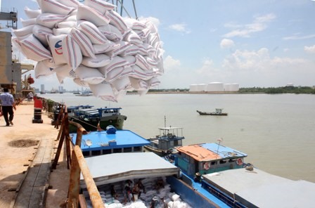 Rice exporters told to meet Chinese quality requirements as shipments slump