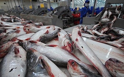 US issues lower duty on Vietnamese frozen fish fillets
