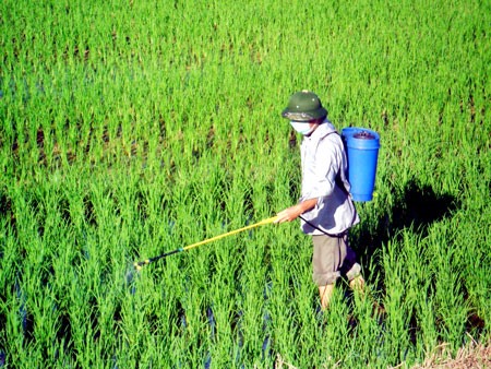 VN’s fertiliser and pesticide imports from China fall sharply