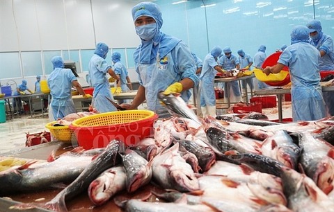 Tra fish exports to exceed $2b