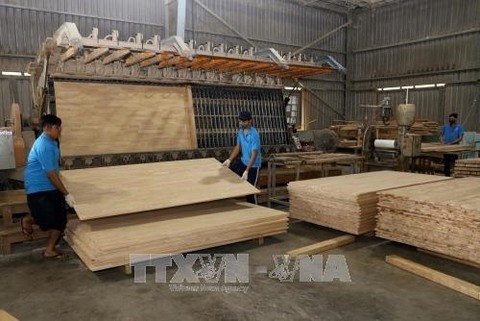 Forestry export value up almost 17% in 11 months