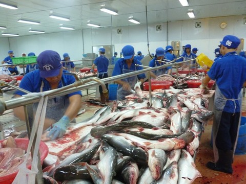 Seafood export earnings surge 6.8 percent in 11 months
