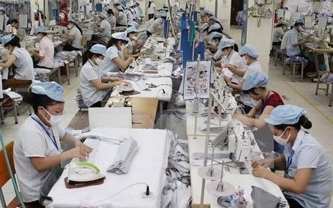 Canada will be potential market for Vietnamese export garments