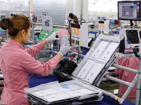 Viet Nam’s GDP could grow more than 6.9% in 2019-20: NCIF