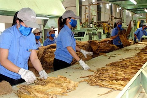 Quota for raw tobacco imports in 2019 proposed