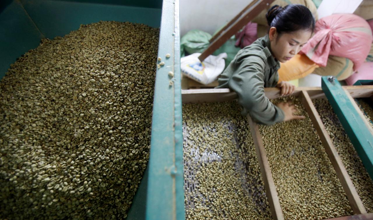 Asia Coffee: Vietnam prices down ahead of Lunar New Year holiday