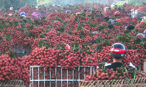 Vietnam trade deficit could balloon to $3 billion