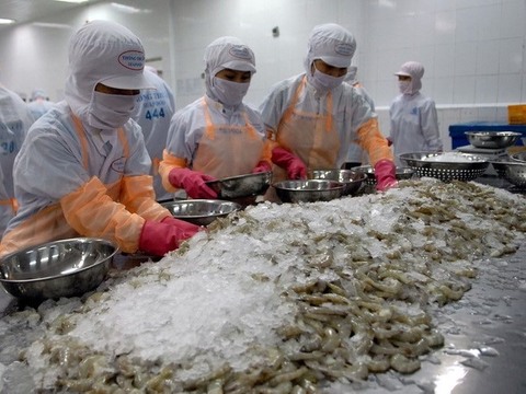 Shrimp export expected to top $4 billion