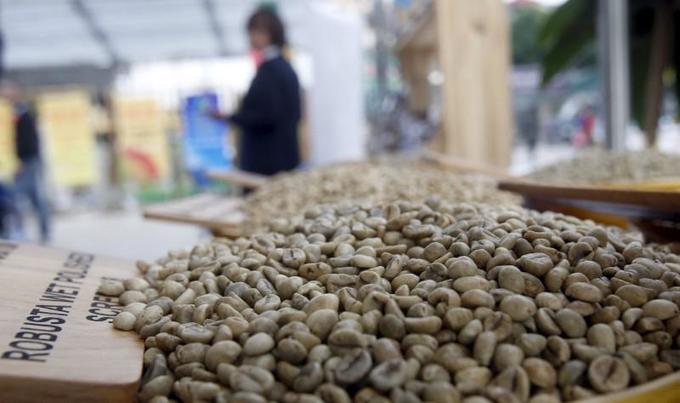 Vietnam Jan coffee exports likely to fall 19.1 pct y/y to 175,000 tonnes
