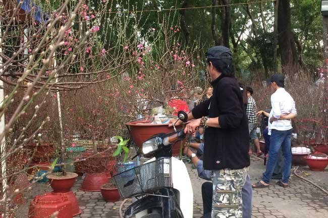 Flower prices drop sharply on eve of Tet