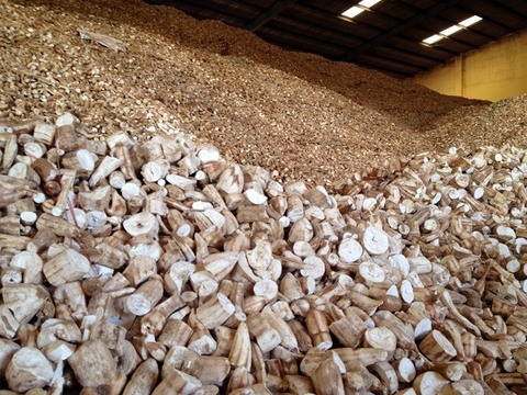 VN to face difficulties in cassava exports