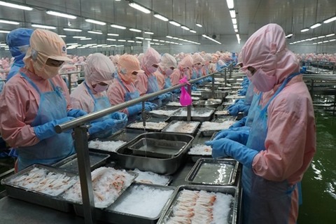 Shrimp exports to South Korea expected to rise 30% in 2019