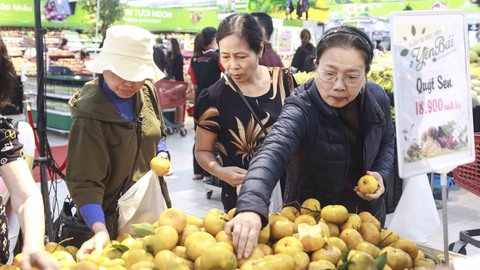 Vietnam’s economy expands 6.79% in Q1