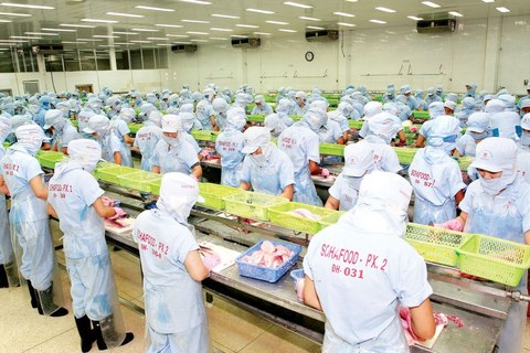 Food processing growth stable