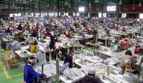Viet Nam, Netherlands look to boost economic co-operation