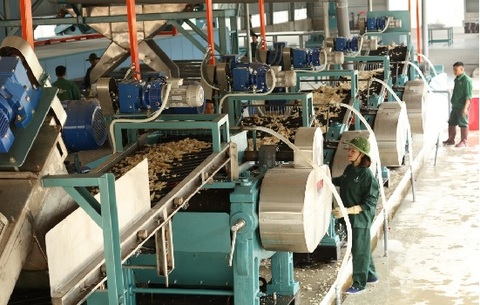 Rubber group urged to boost revenue from wood processing