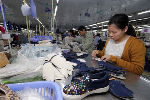 VN urged to improve economic resilience