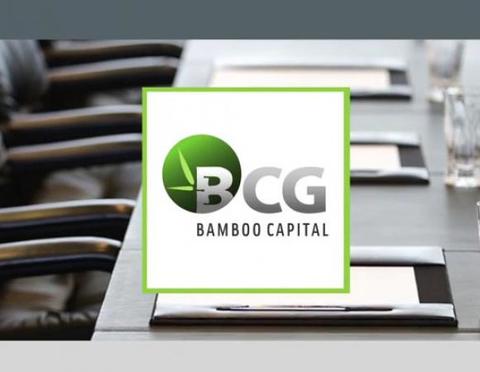 BCG targets huge profit increase