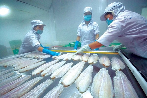 Seafood processor Hung Vuong (HVG) continues to sell assets amid debt burden