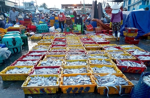 Viet Nam aquaculture has room to improve