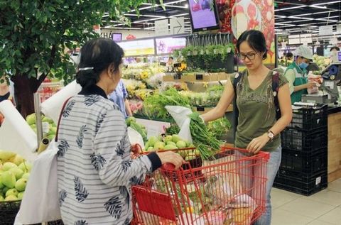 Outlook for Viet Nam’s economy remains sound in 2019: IMF