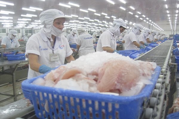 Tra fish shipments held up over error
